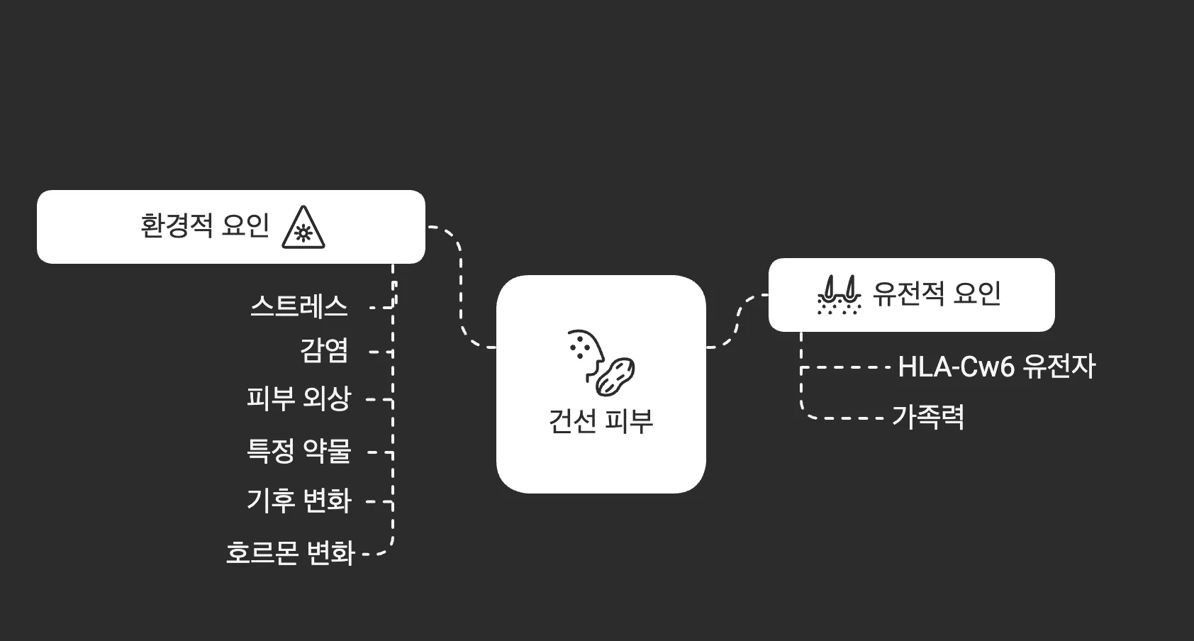 건선의 원인 도식 - 환경적 요인(스트레스·감염·피부 외상·특정 약물·기후 변화·호르몬 변화)과 유전적 요인(HLA-Cw6 유전자·가족력)이 건선 피부로 이어지는 관계도