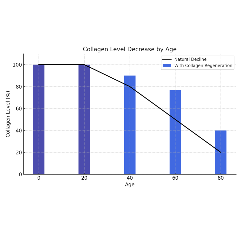 나이대별 콜라겐 감소 그래프